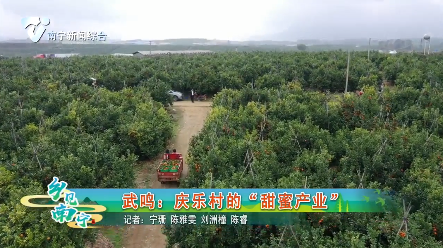 武鸣：庆乐村的“甜蜜产业”