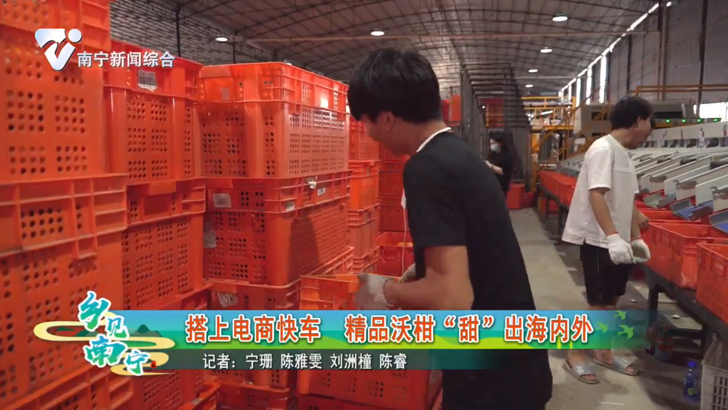 搭上电商快车 精品沃柑“甜”出海内外