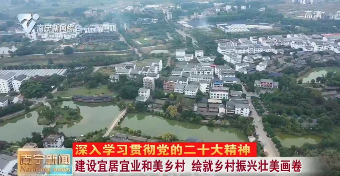建设宜居宜业和美乡村  绘就乡村振兴壮美画卷 