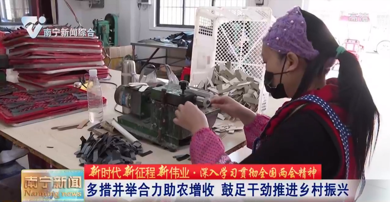 【新时代新征程新伟业·深入学习贯彻全国两会精神】多措并举合力助农增收   鼓足干劲推进乡村振兴