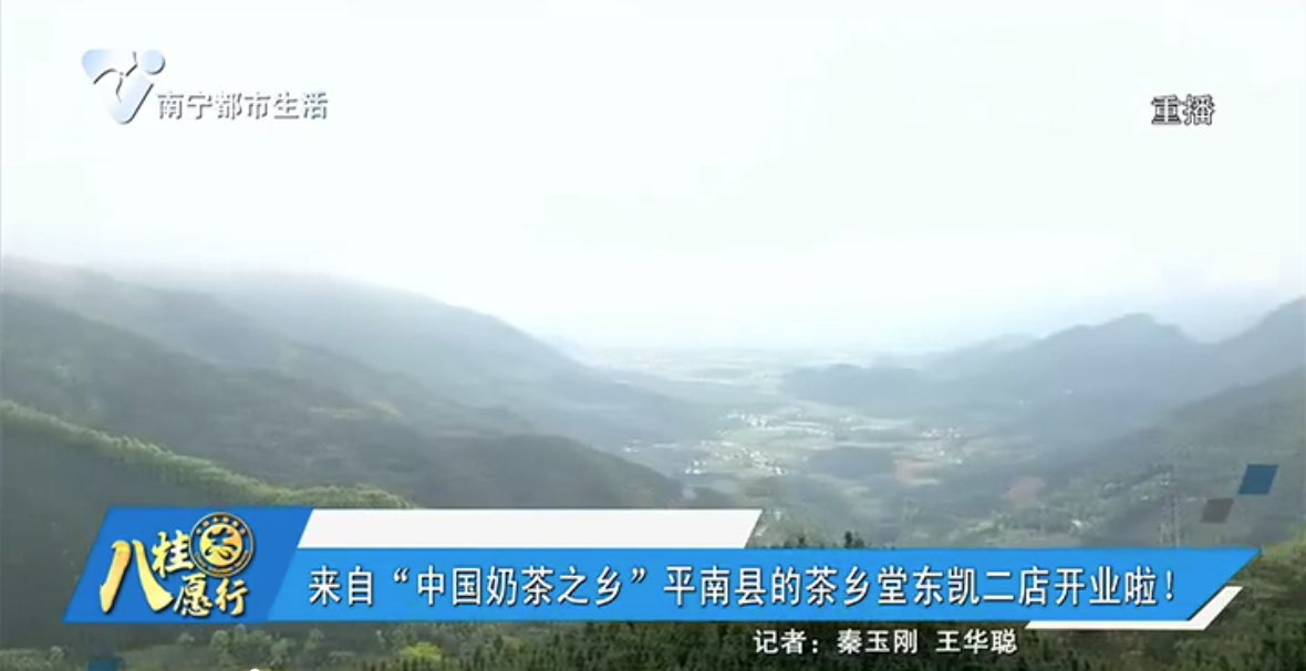 来自“中国奶茶之乡”平南县的茶乡堂东凯二店开业啦！