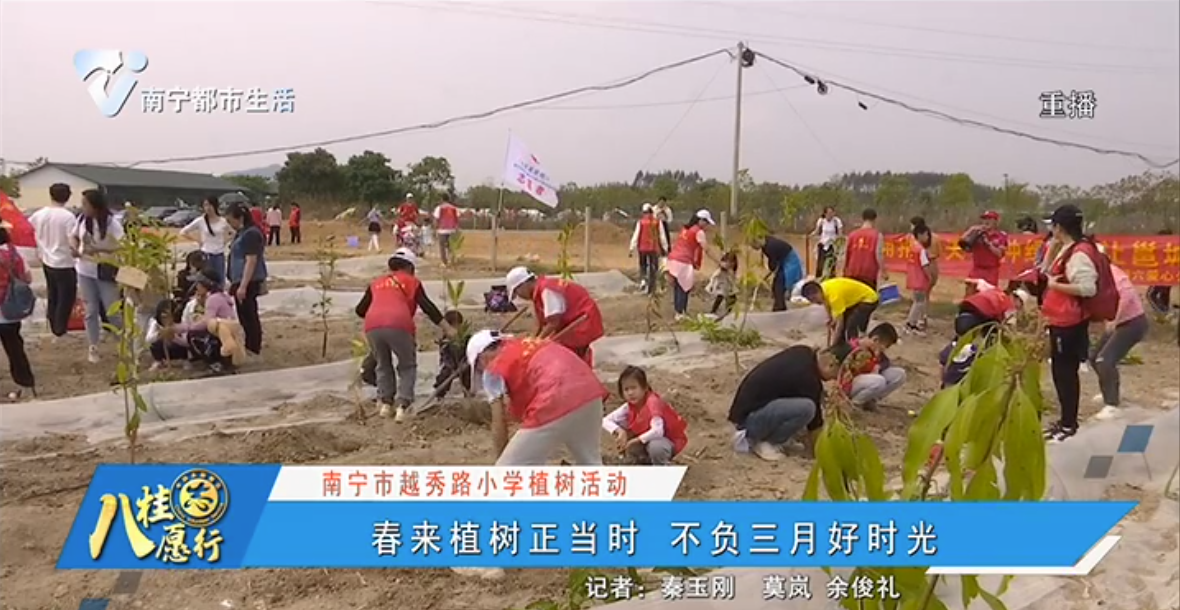 【南宁市越秀路小学植树活动】春来植树正当时 不负三月好时光
