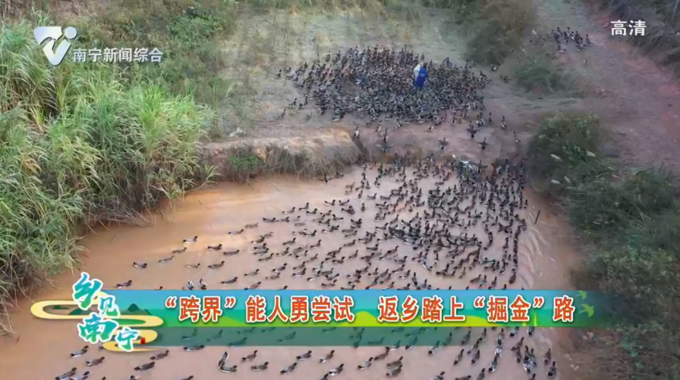 “跨界”能人勇尝试 返乡踏上“掘金”路