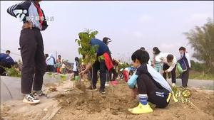 【我为绿城添点彩】植树添新绿 公益在行动
