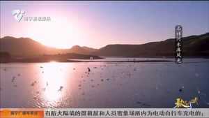 我们这十年▪象州