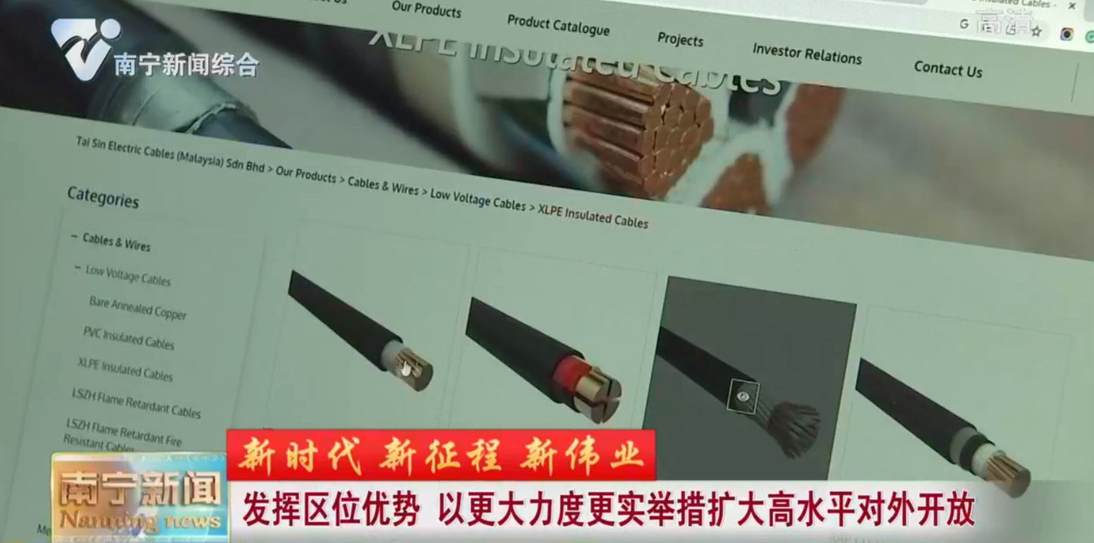 【新时代 新征程 新伟业】发挥区位优势 以更大力度更实举措扩大高水平对外开放