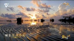 歌曲《朝着幸福的方向》