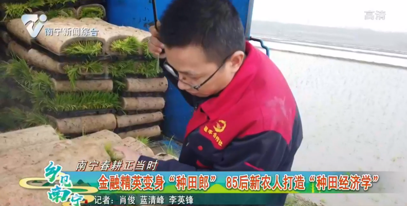 【南宁春耕正当时】金融精英变身“种田郞” 85后新农人打造“种田经济学”