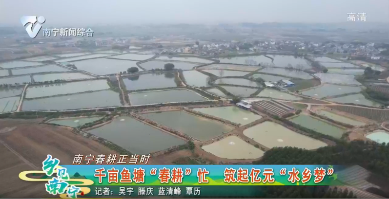【南宁春耕正当时】千亩鱼塘“春耕”忙 筑起亿元“水乡梦”