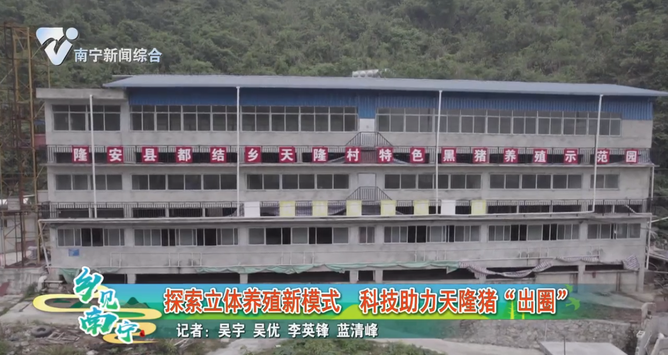 探索立体养殖新模式 科技助力天隆猪“出圈”