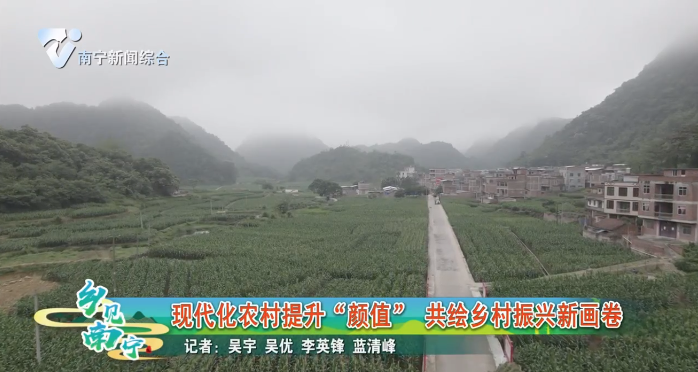 现代化农村提升“颜值” 共绘乡村振兴新画卷