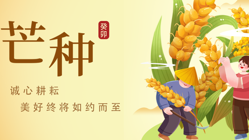 二十四节气——芒种