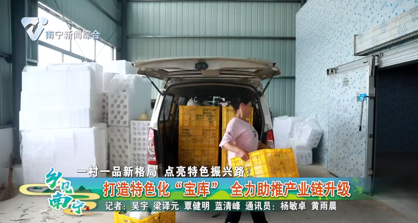 一村一品新格局 点亮特色振兴路：打造特色化“宝库” 全力助推产业链升级