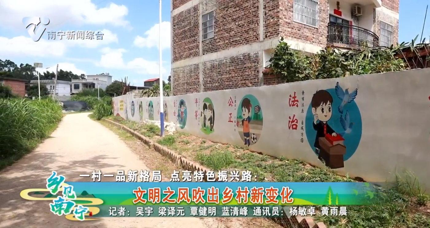 一村一品新格局 点亮特色振兴路：文明之风吹出乡村新变化
