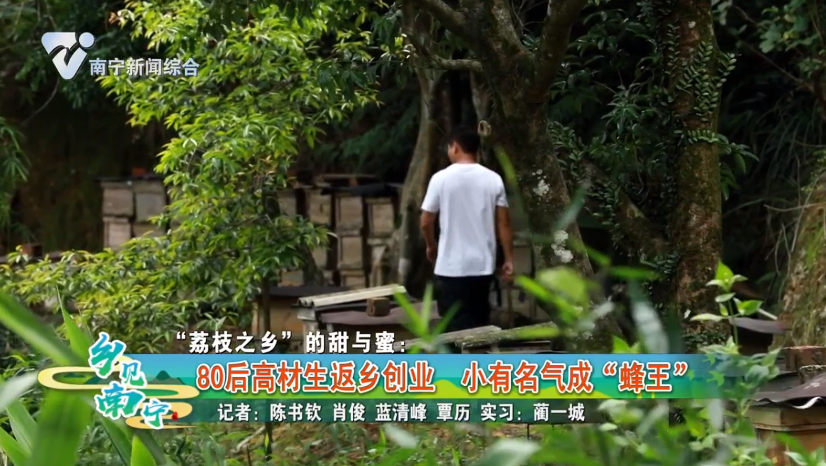 “荔枝之乡”的甜与蜜：80后高材生返乡创业 小有名气成“蜂王”