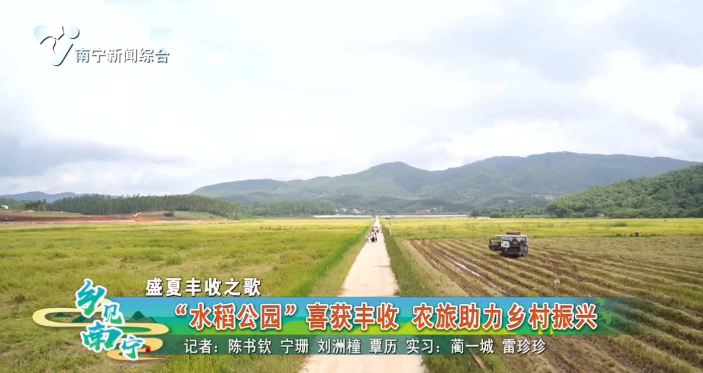 【盛夏丰收之歌】“水稻公园”喜获丰收 农旅助力乡村振兴
