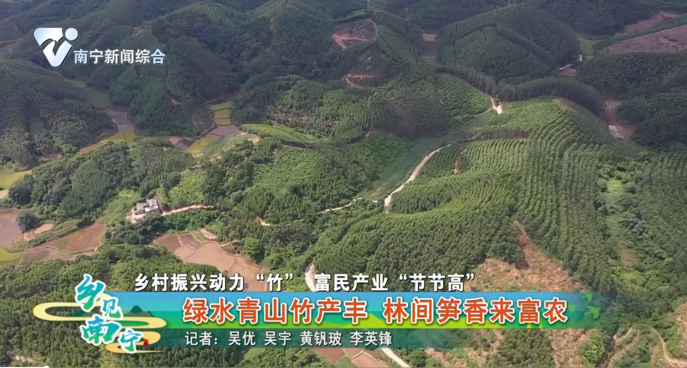 【乡村振兴动力“竹” 富民产业“节节高”】绿水青山竹产丰 林间笋香来富农