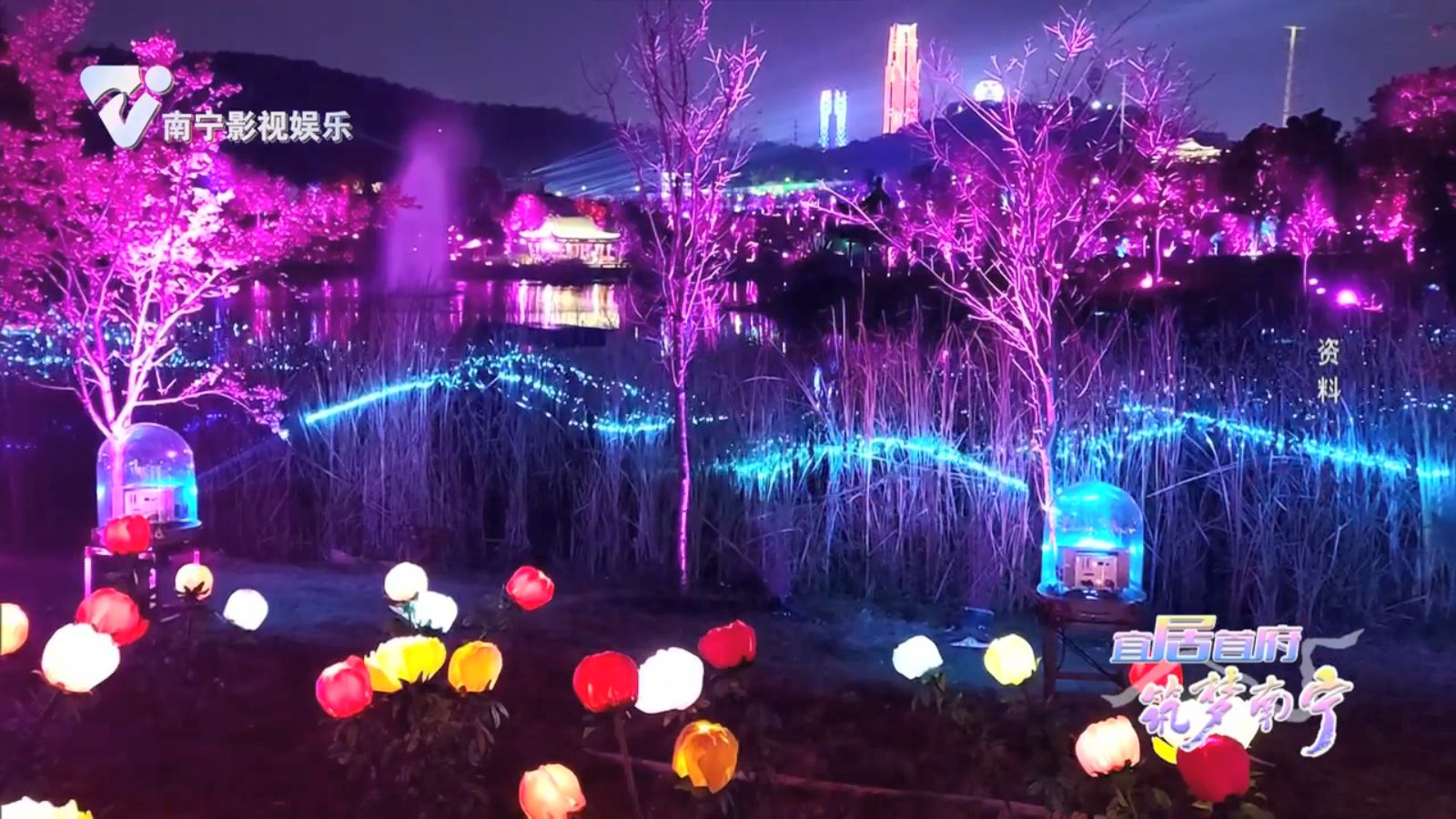 樱花满园竹林幽 邕城画卷展新颜