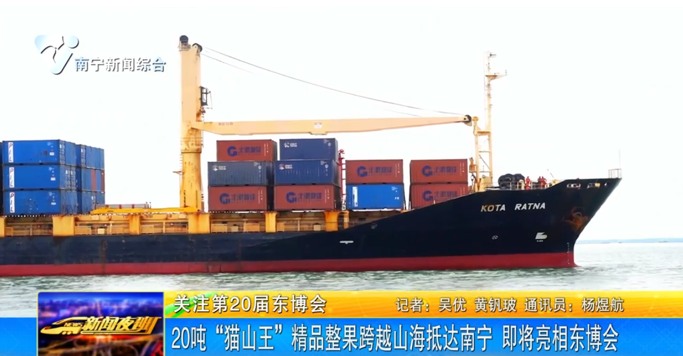 20噸“貓山王”精品整果跨越山海抵達南寧  即將亮相東博會 