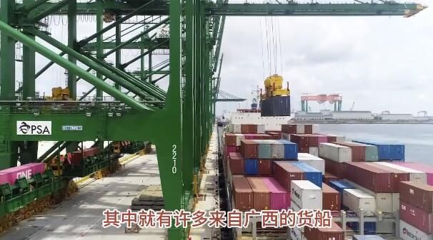 主打一個“快” 陸海新通道強勢賦能廣西