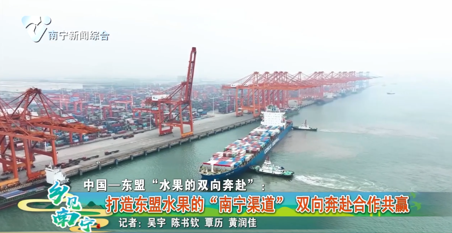 中国——东盟“水果的双向奔赴”：打造东盟水果的“南宁渠道” 双向奔赴合作共赢