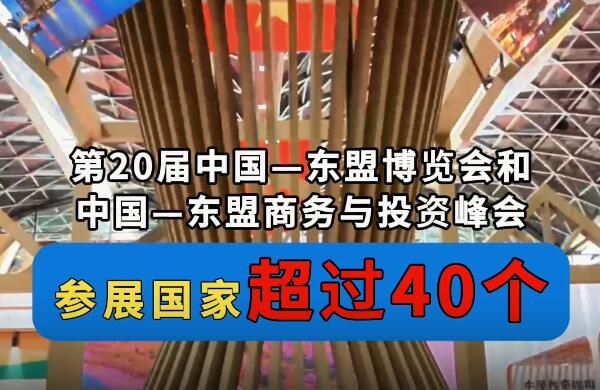 第20屆中國—東盟博覽會和中國—東盟商務與投資峰會