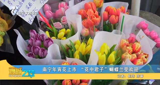 南宁年宵花上市 “花中君子”蝴蝶兰受欢迎