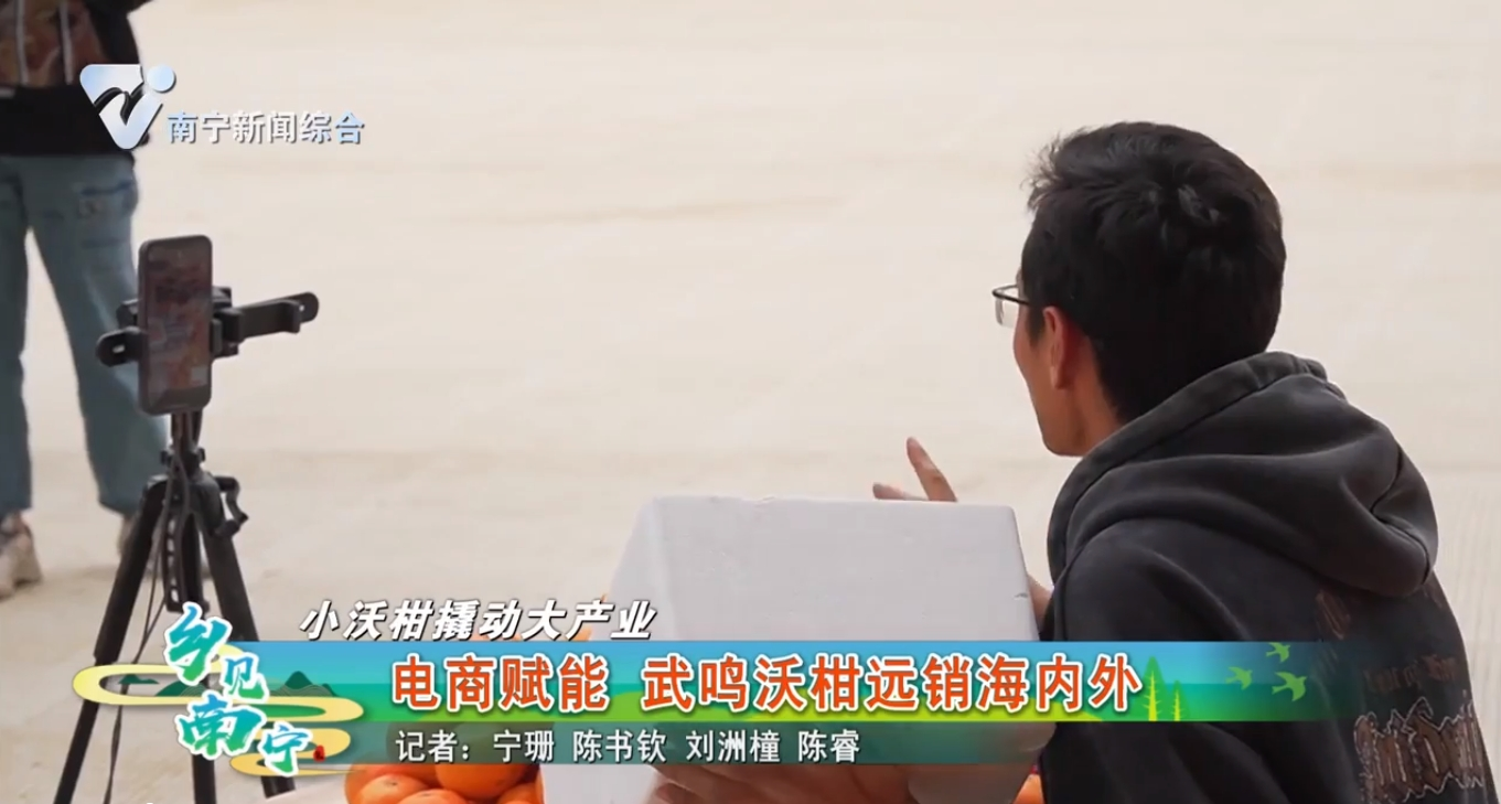 【小沃柑撬动大产业】电商赋能 武鸣沃柑远销海内外