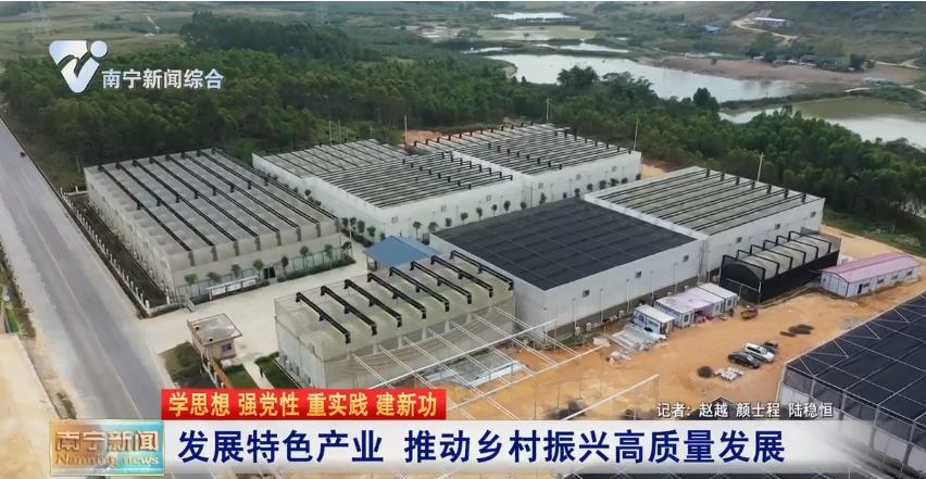 发展特色产业   推动乡村振兴高质量发展 