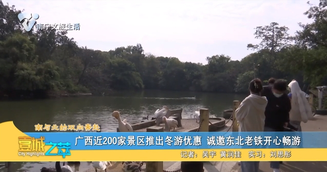 【南与北的双向奔赴】广西近200家景区推出冬游优惠 诚邀东北老铁开心畅游