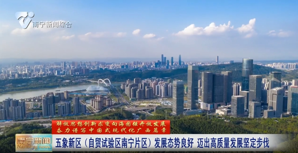 五象新區（自貿試驗區南寧片區）發展態勢良好    邁出高質量發展堅定步伐 