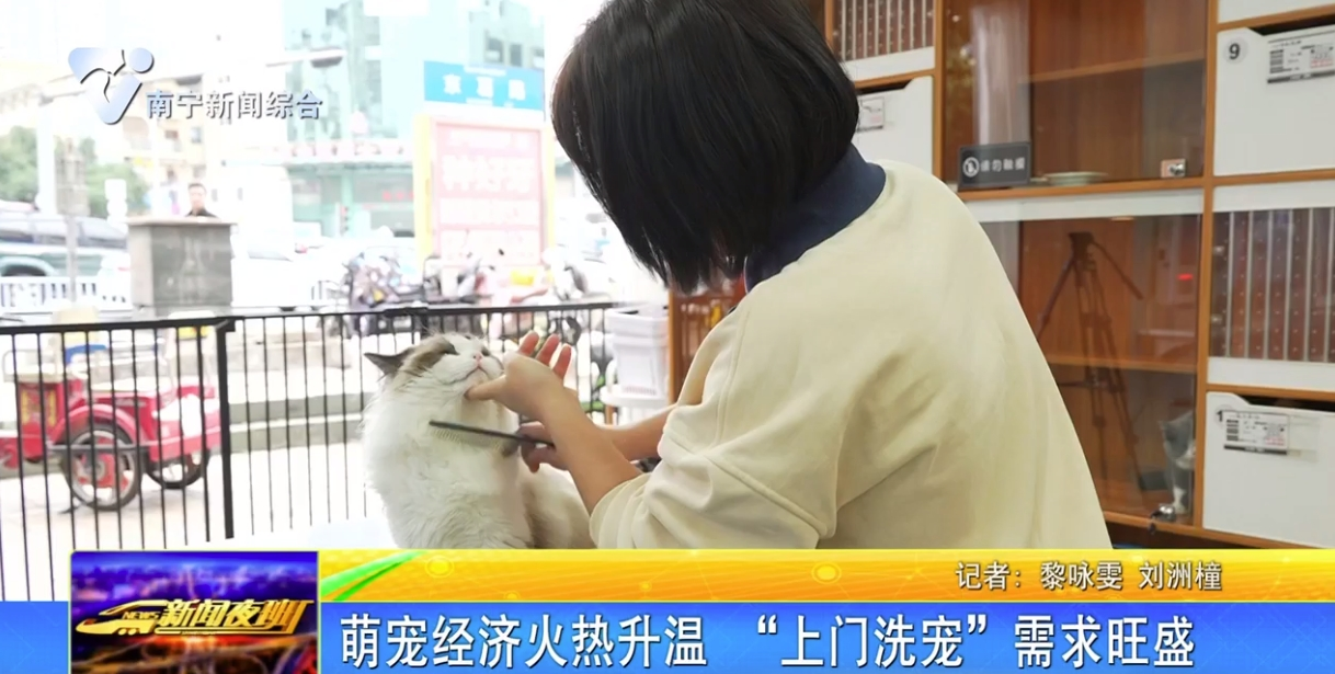 萌寵經濟火熱升溫 “上門洗寵”需求旺盛