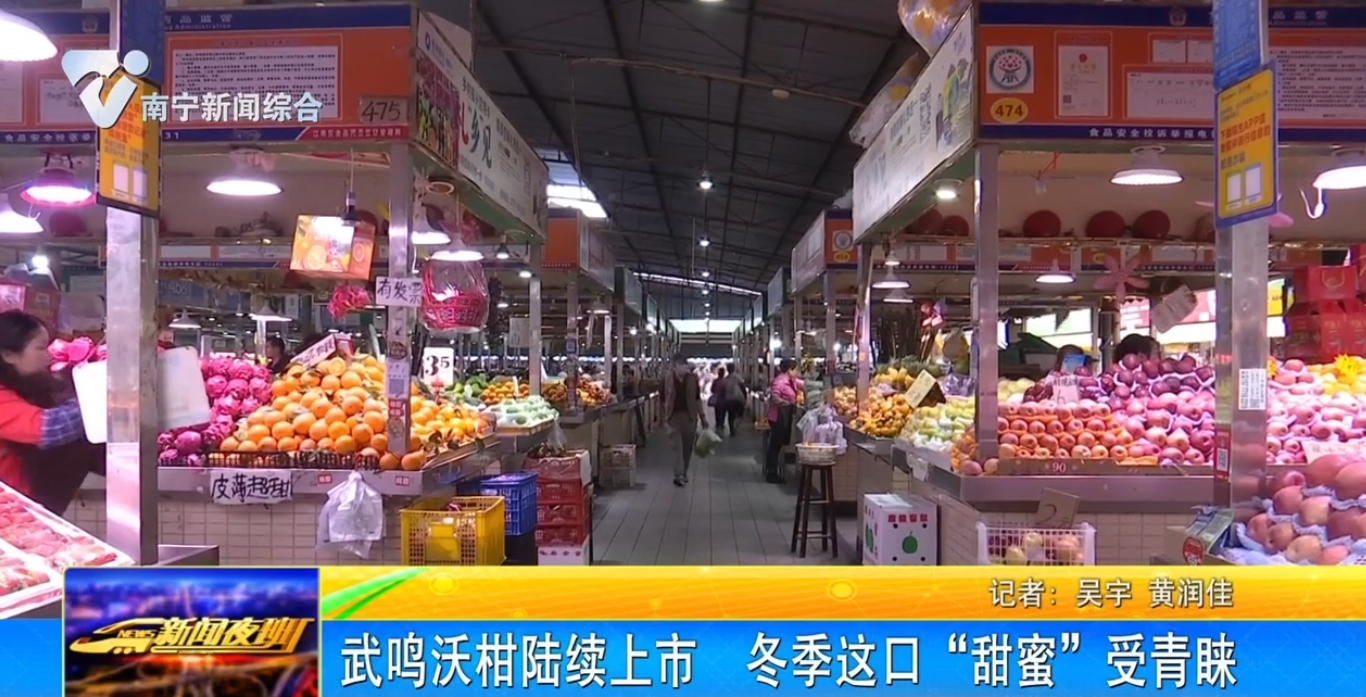 武鳴沃柑陸續(xù)上市 冬季這口“甜蜜”受青睞