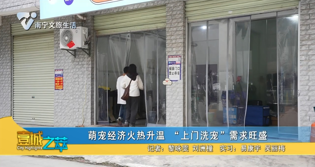 萌宠经济火热升温 “上门洗宠”需求旺盛