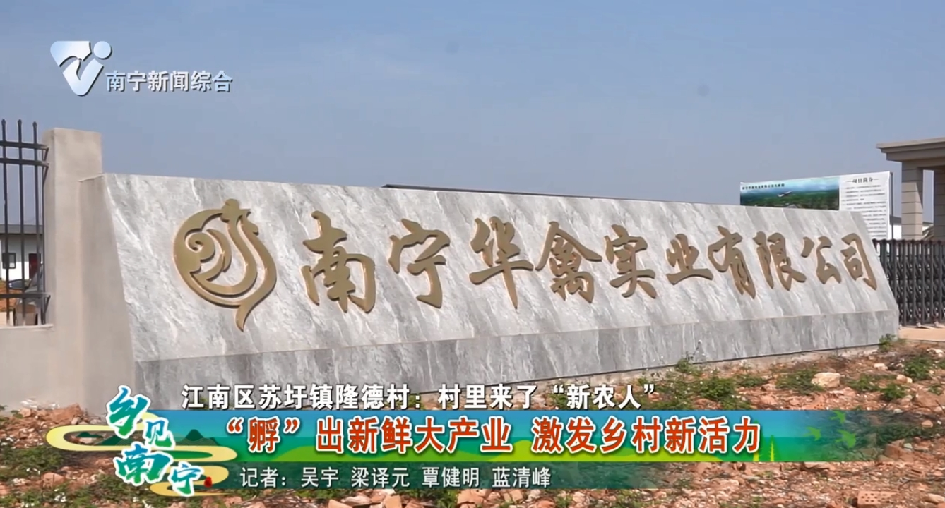 【江南区苏坪镇隆德村:村里来了“新农人”】 “孵”出新鲜大产业 激发乡村新活力