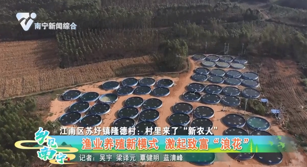 【江南区苏坪镇隆德村:村里来了“新农人”】 渔业养殖新模式 激起致富“浪花”