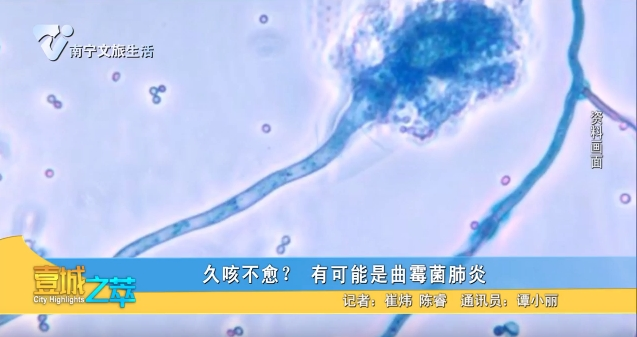 久咳不愈？有可能是曲霉菌肺炎