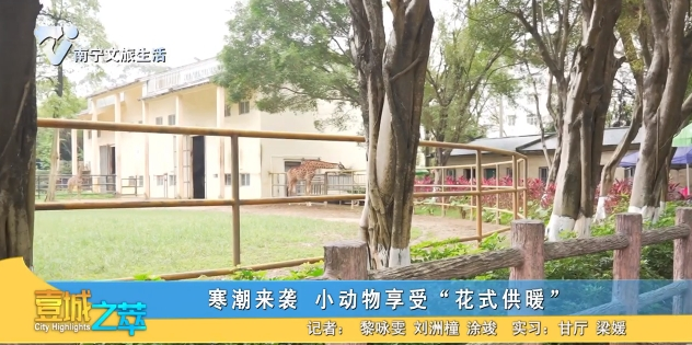 寒潮来袭 小动物享受“花式供暖”