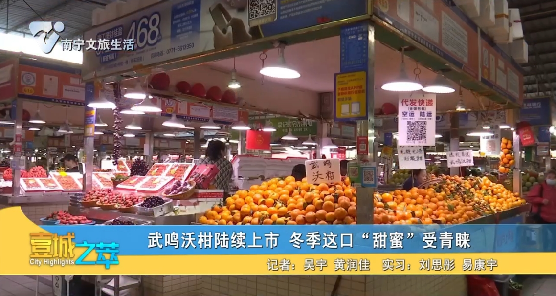 武鸣沃柑陆续上市 冬季这口“甜蜜”受青睐