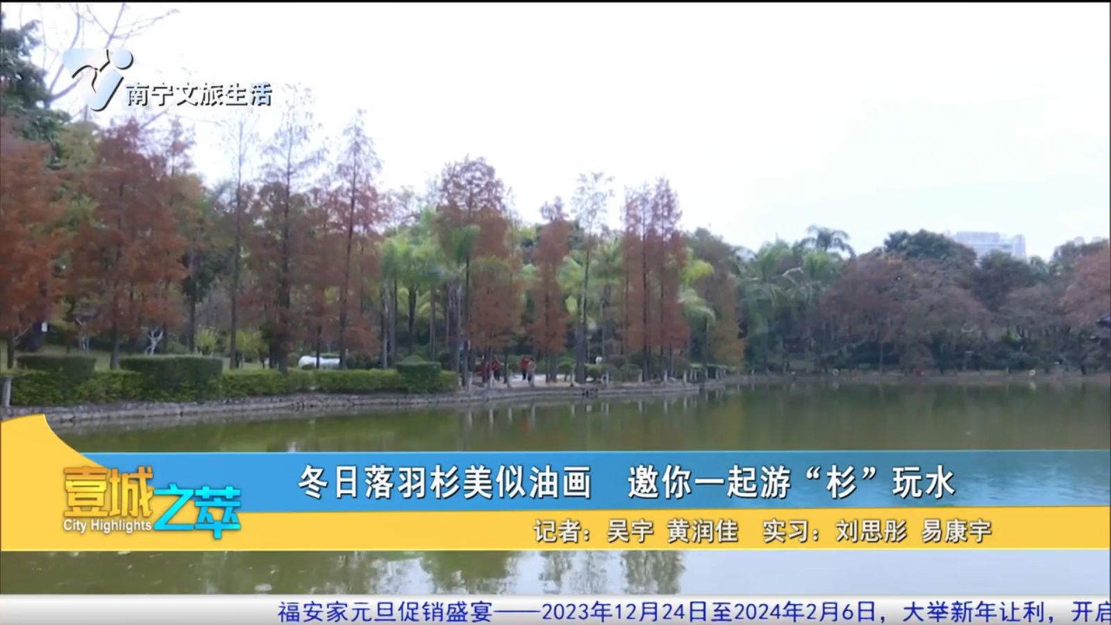 冬日落羽杉美似画 邀你一起游“衫”玩水