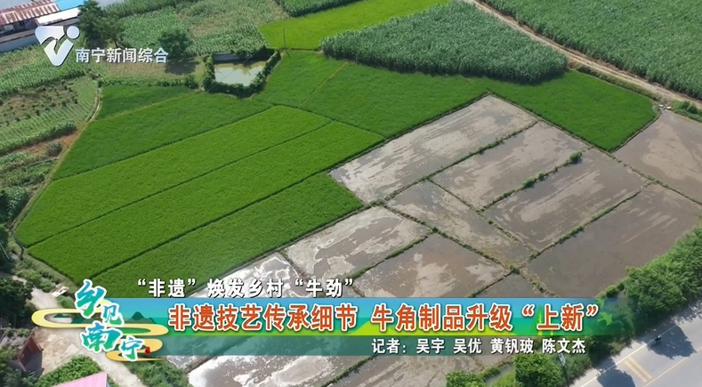 【“非遗”焕发乡村“牛劲”】非遗技艺传承细节 牛角制品升级“上新”