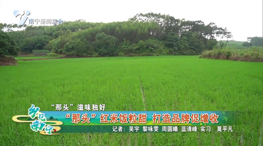 【“那头”滋味独好】“那头”红米饭粒甜 打造品牌促增收