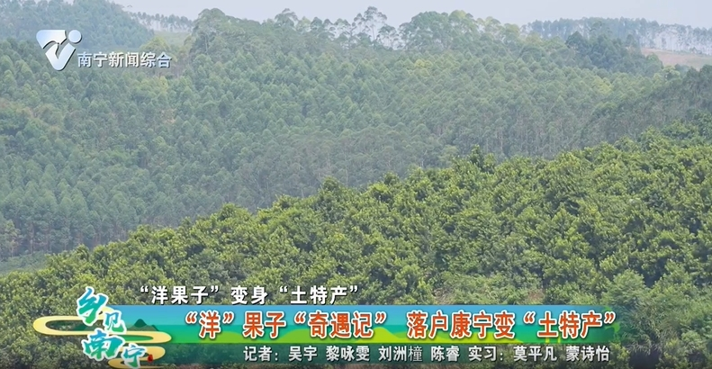 【“洋果子”变身“土特产”】“洋”果子“奇遇记” 落户康宁变“土特产”