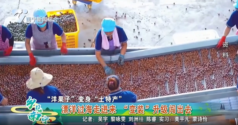 【“洋果子”变身“土特产”】漂洋过海走进来 “变装”升级闯出去
