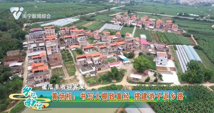 【蜜瓜丰收迎客来】黄炳相：书写大棚致富经 搭建游子返乡路
