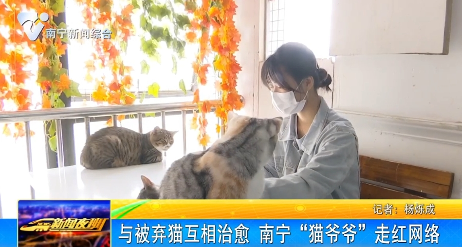 与被弃猫互相治愈 南宁“猫爷爷”走红网络