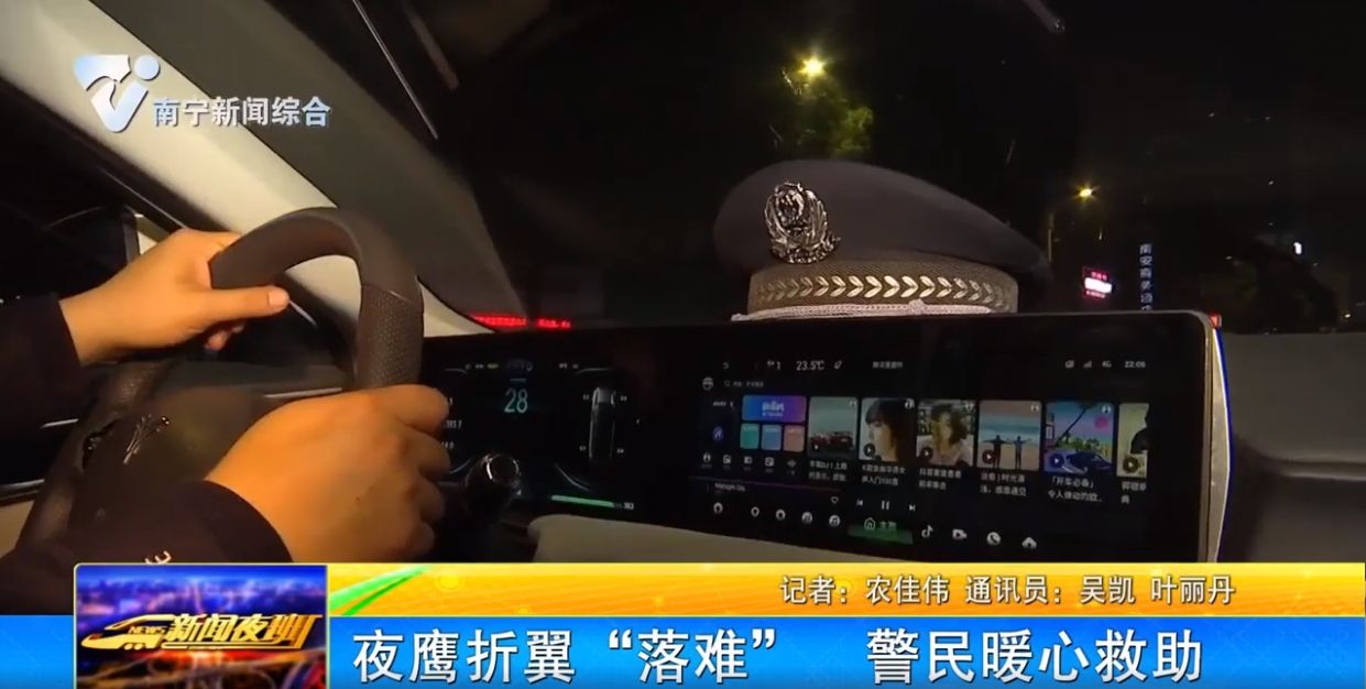 夜鹰折翼“落难”  警民暖心救助