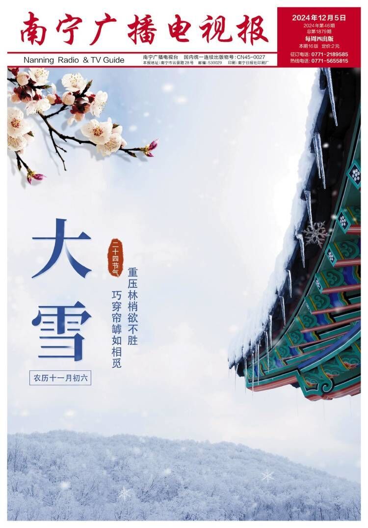 南宁广播电视报第595期
