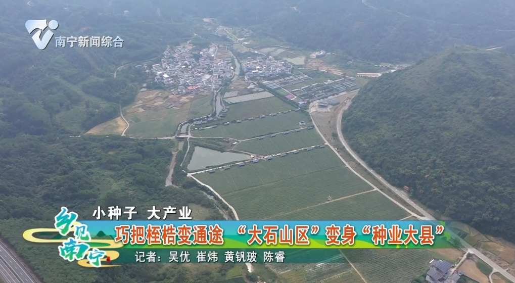 【小种子 大产业】巧把桎梏变通途  “大石山区”变身“种业大县”