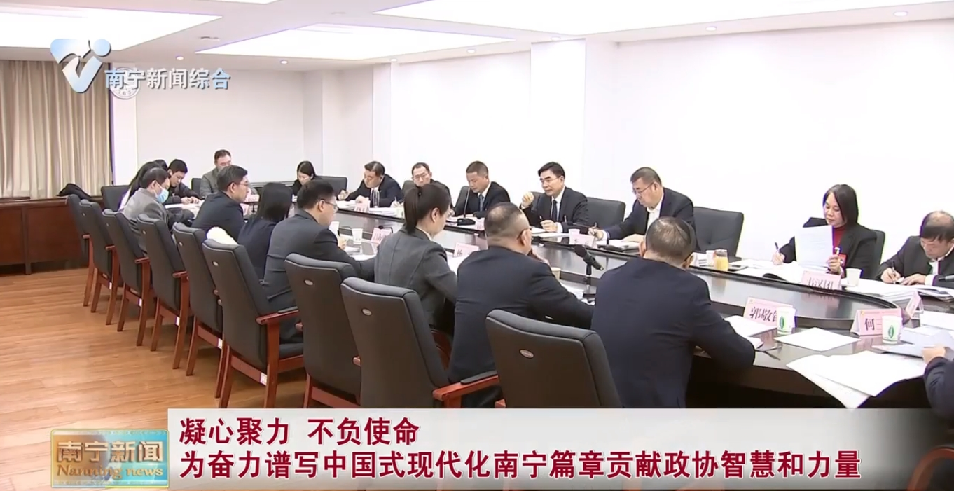 凝心聚力 不负使命 为奋力谱写中国式现代化南宁篇章贡献政协智慧和力量